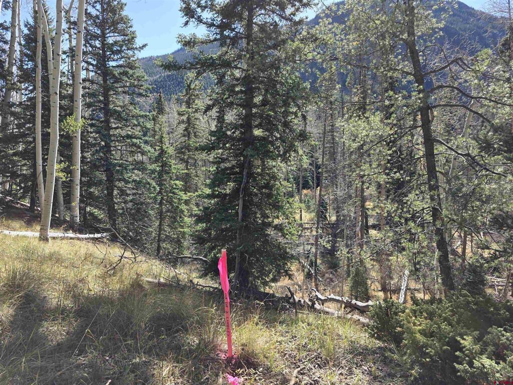 20 Alamosa Street Del Norte CO 81132