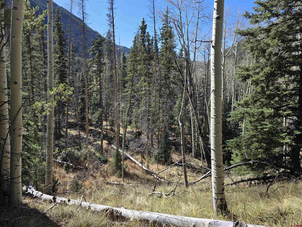 20 Alamosa Street Del Norte CO 81132