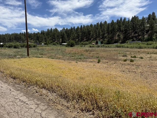 10750 W Highway 160 Pagosa Springs CO 81147