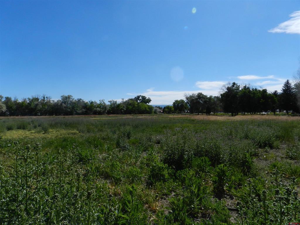 Tbd Montrose Dr, Site C Montrose CO 81401