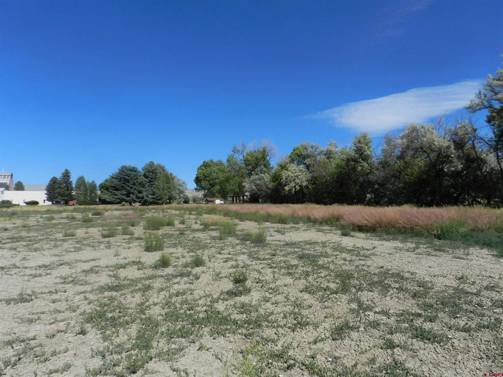 Tbd Montrose Dr, Site C Montrose CO 81401