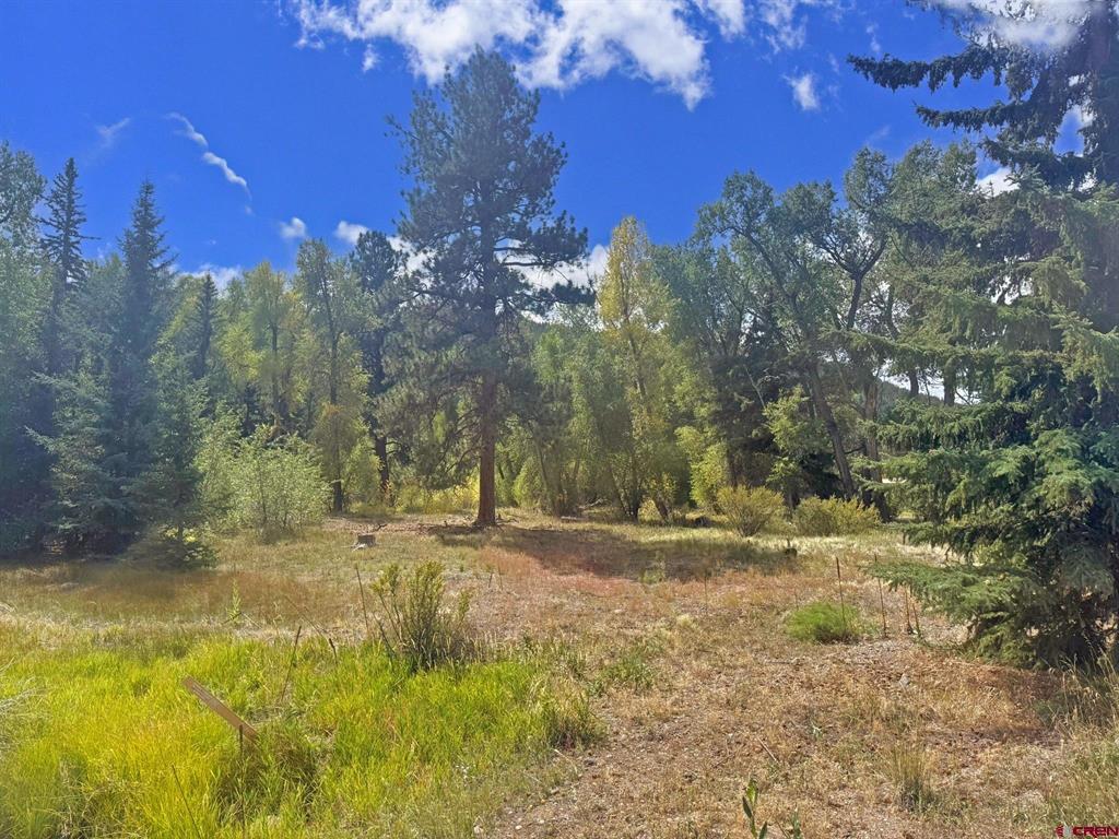 48 E Riverside Drive South Fork CO 81154