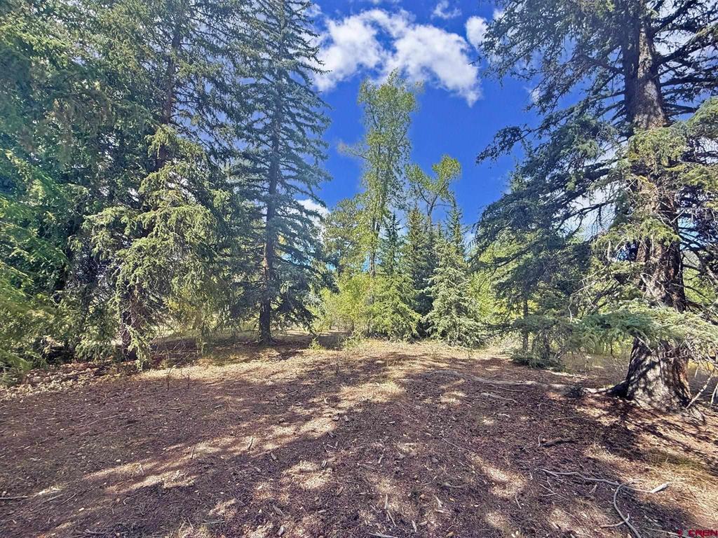 48 E Riverside Drive South Fork CO 81154