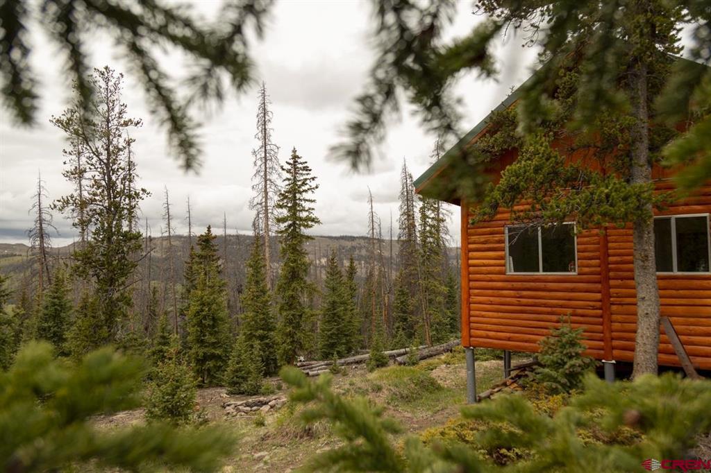 3190 Forest Road #503 Creede CO 81130