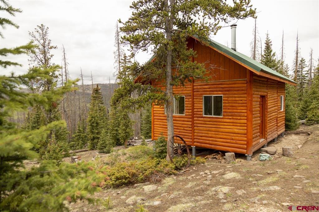 3190 Forest Road #503 Creede CO 81130