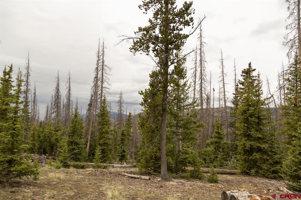 3190 Forest Road #503 Creede CO 81130