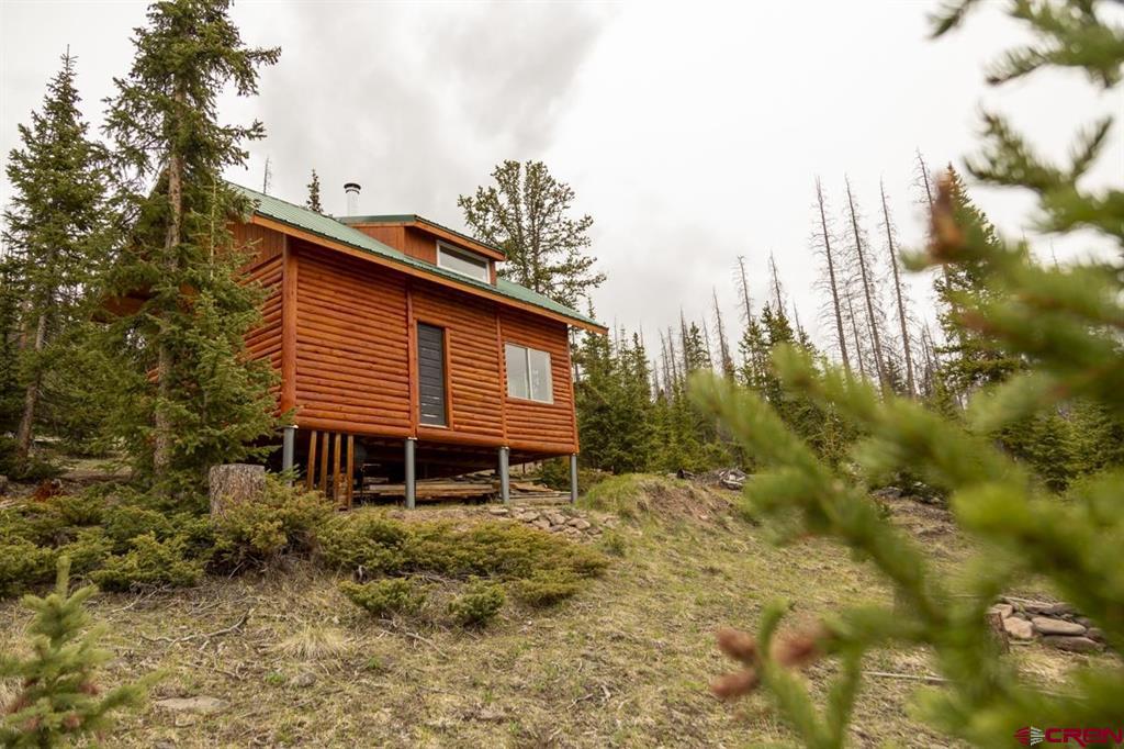 3190 Forest Road #503 Creede CO 81130
