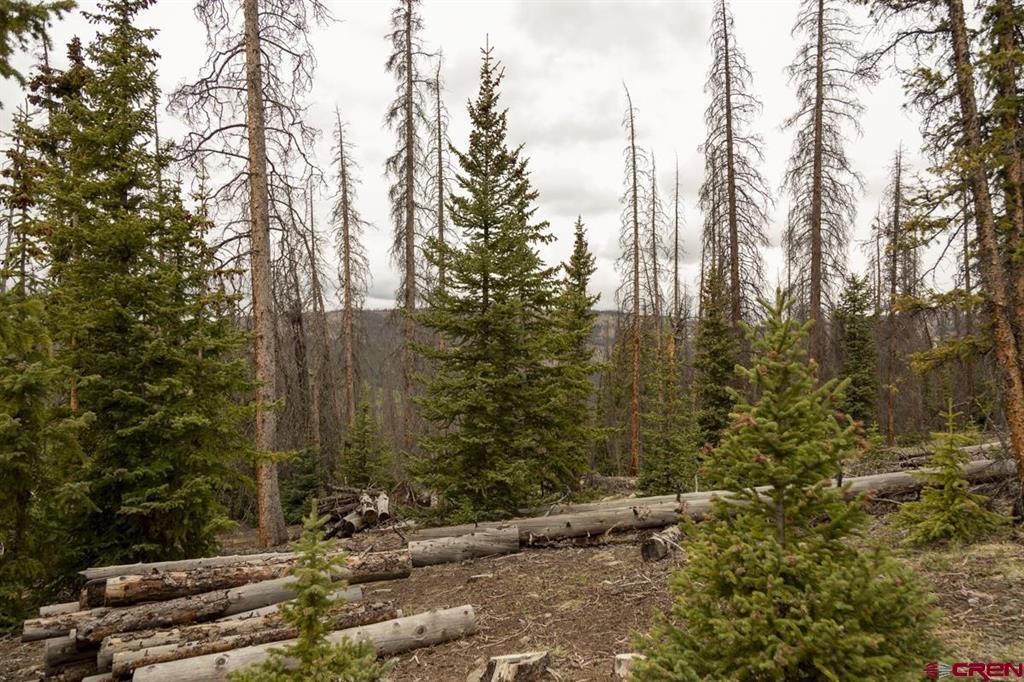 3190 Forest Road #503 Creede CO 81130