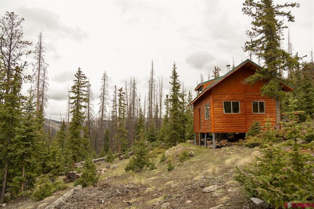 3190 Forest Road #503 Creede CO 81130