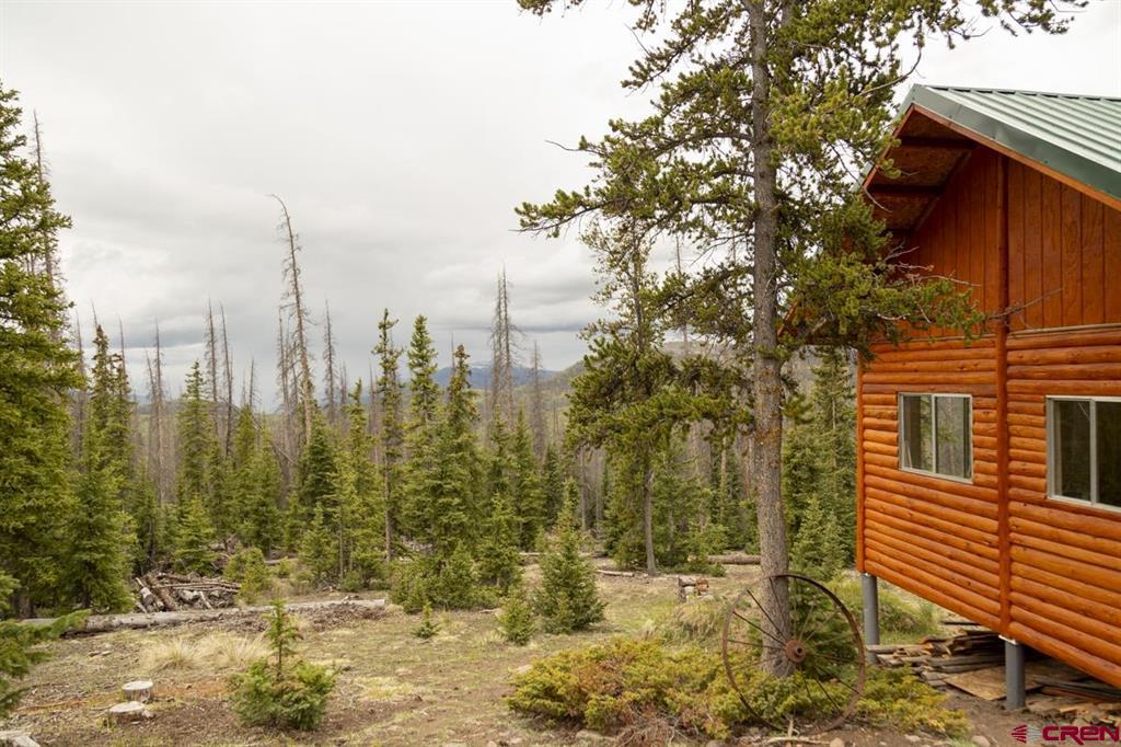 3190 Forest Road #503 Creede CO 81130
