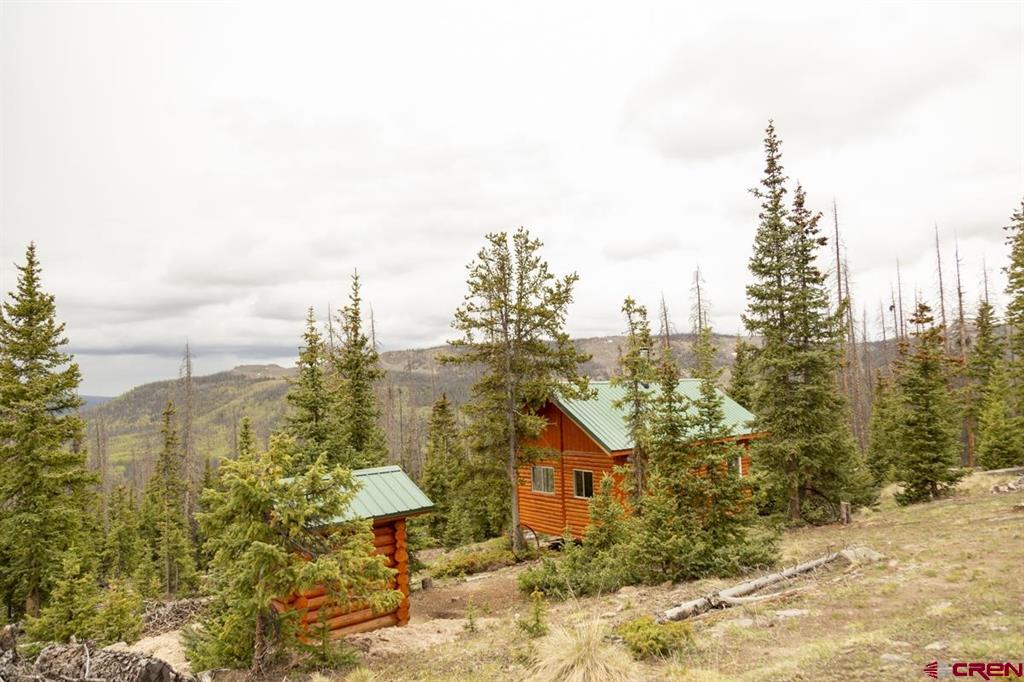 3190 Forest Road #503 Creede CO 81130