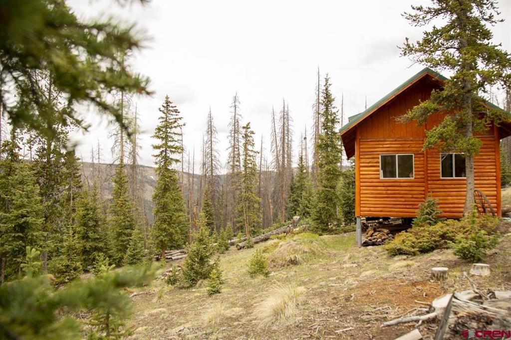 3190 Forest Road #503 Creede CO 81130