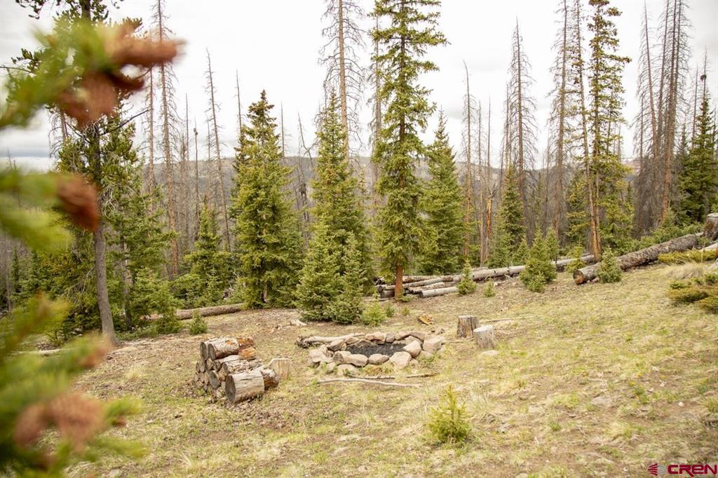 3190 Forest Road #503 Creede CO 81130