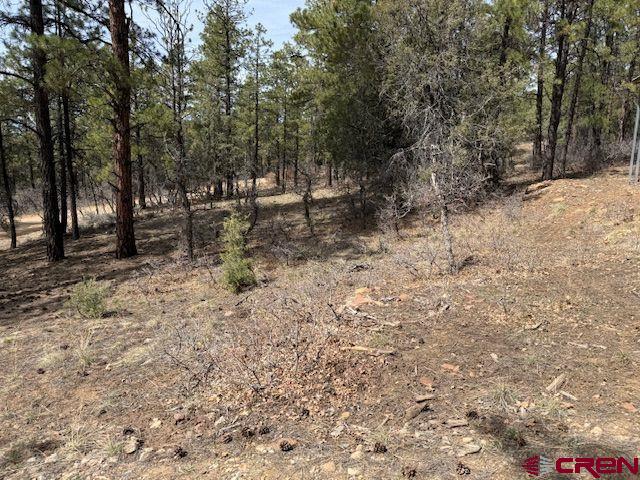 1207 West View Pagosa Springs CO 81147