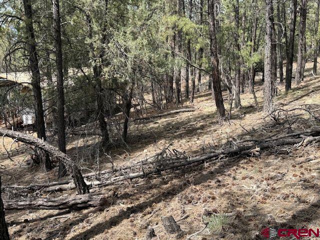 1207 West View Pagosa Springs CO 81147