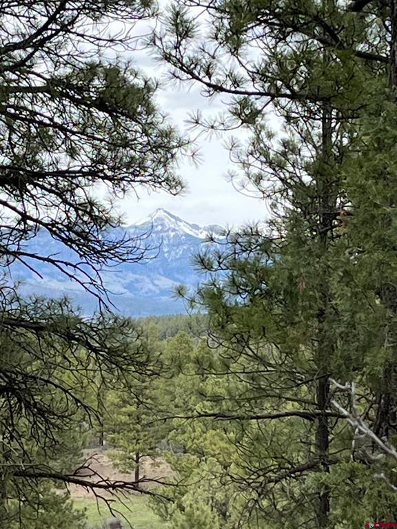 X Berwyn Street Pagosa Springs CO 81147
