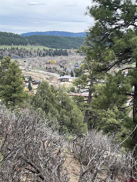 X Berwyn Street Pagosa Springs CO 81147
