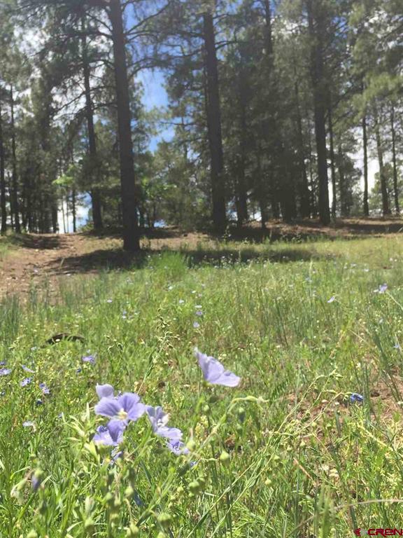 X Berwyn Street Pagosa Springs CO 81147