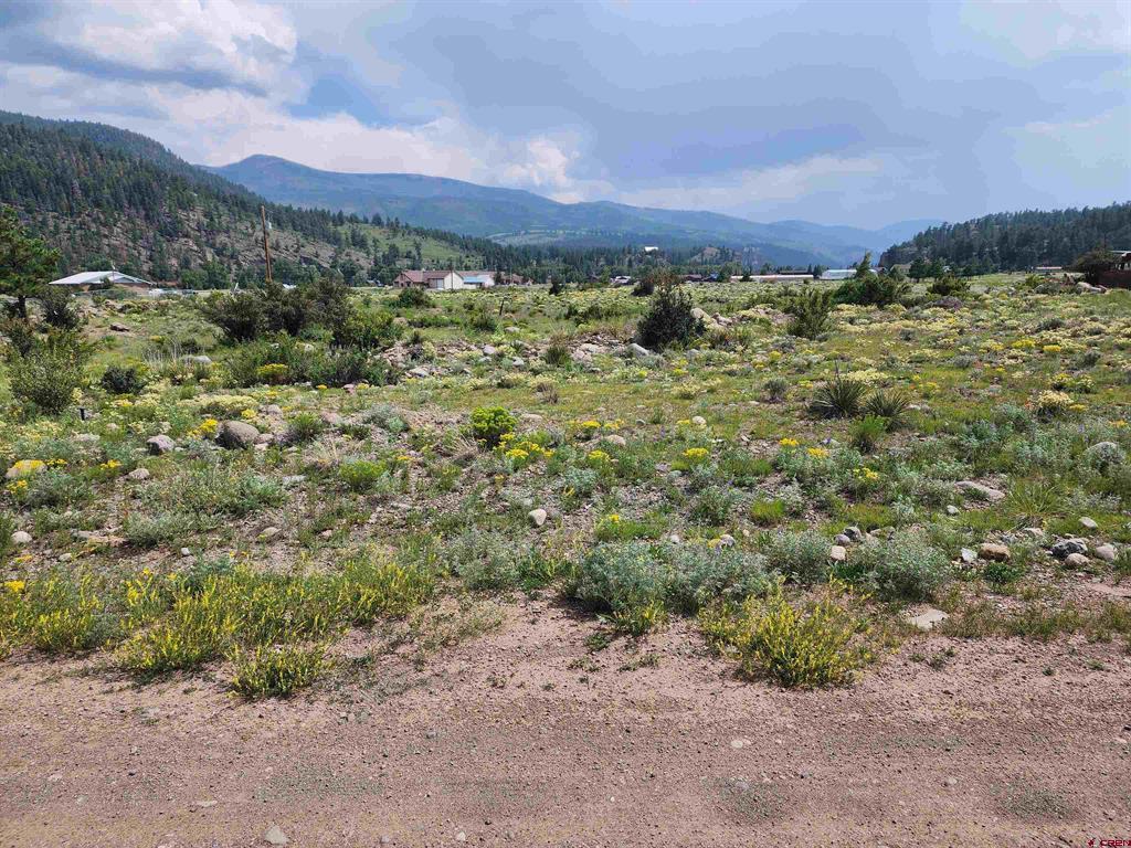58 Cedar Drive South Fork CO 81154