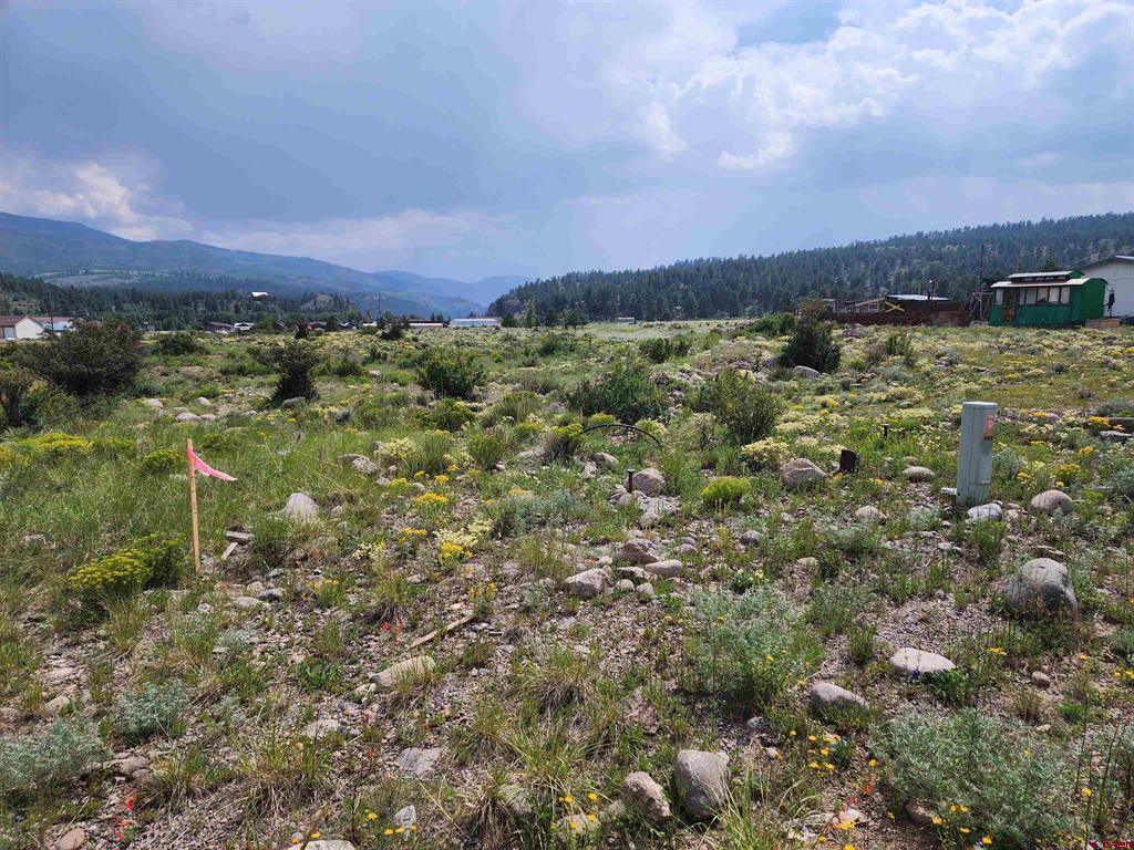 58 Cedar Drive South Fork CO 81154