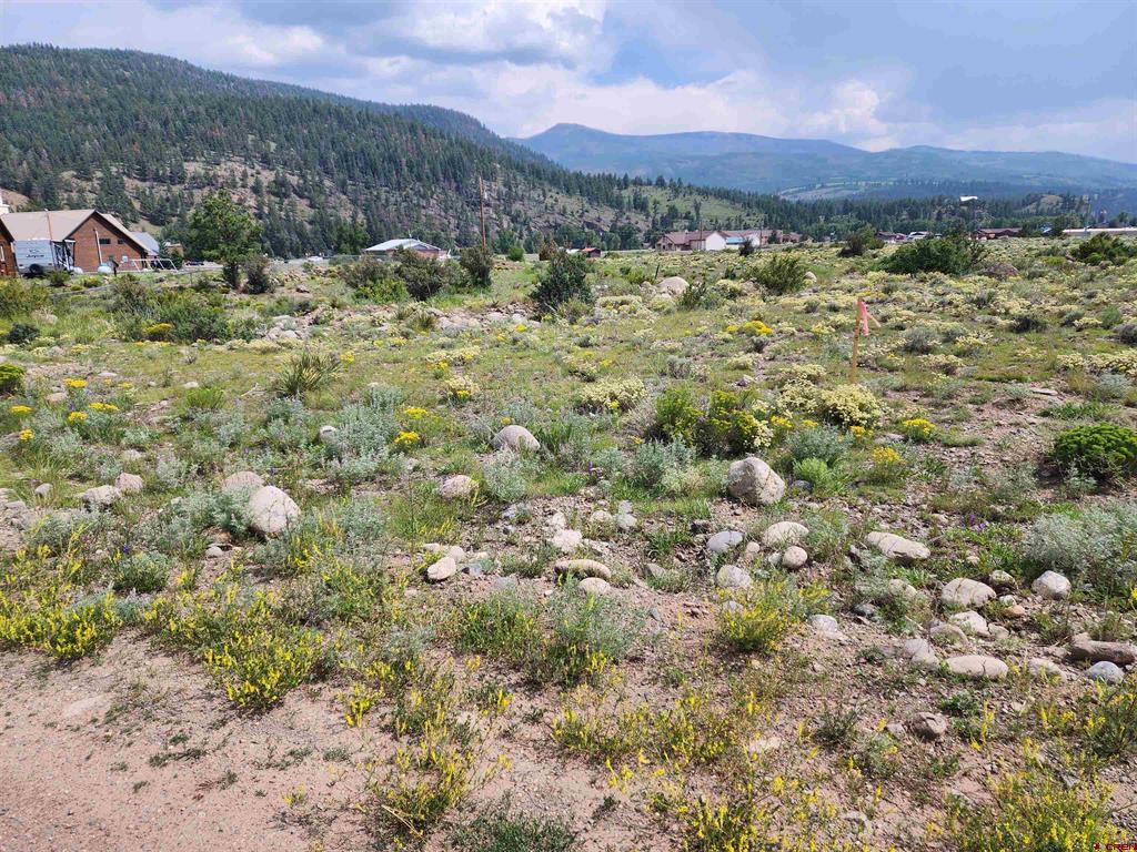 58 Cedar Drive South Fork CO 81154