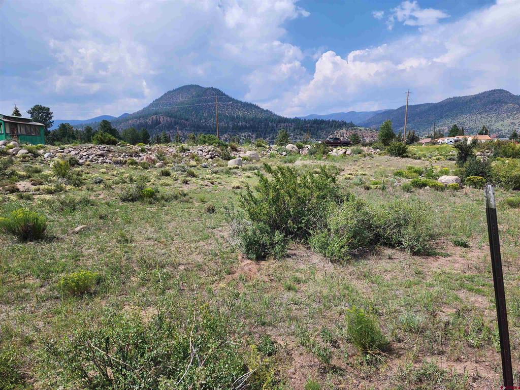 58 Cedar Drive South Fork CO 81154