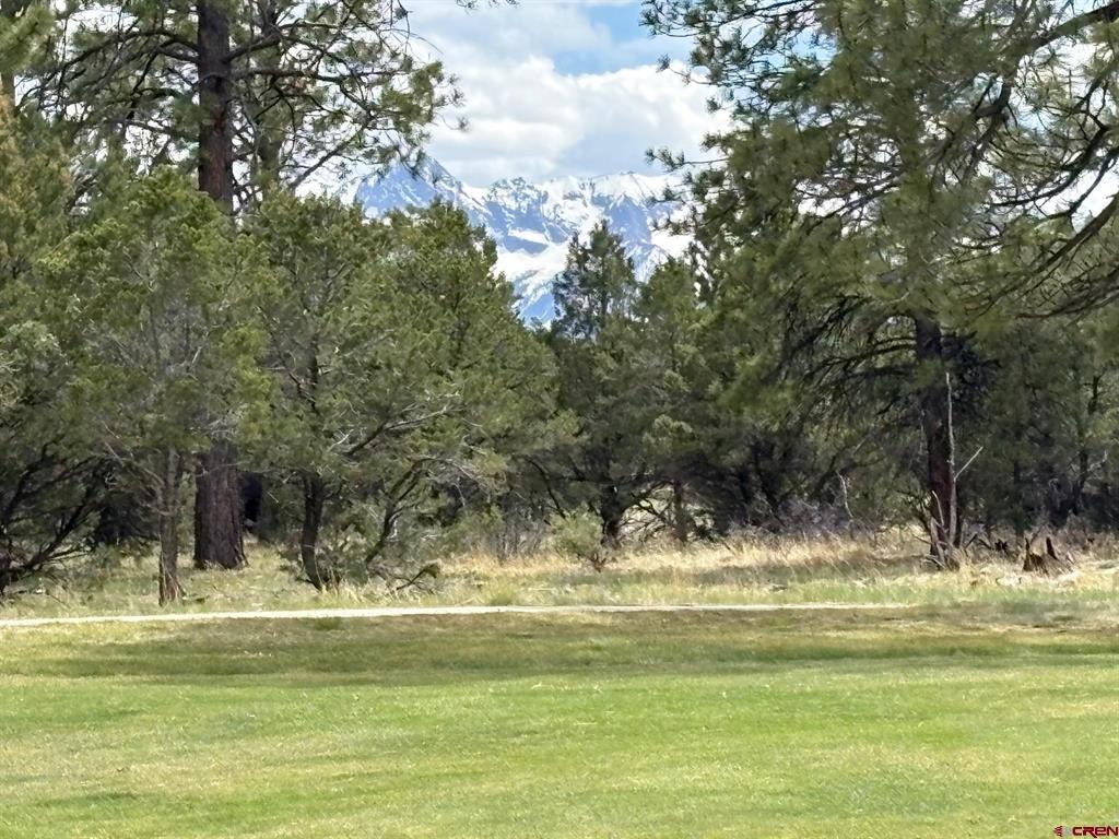 1711 Marmot Drive Ridgway CO 81432