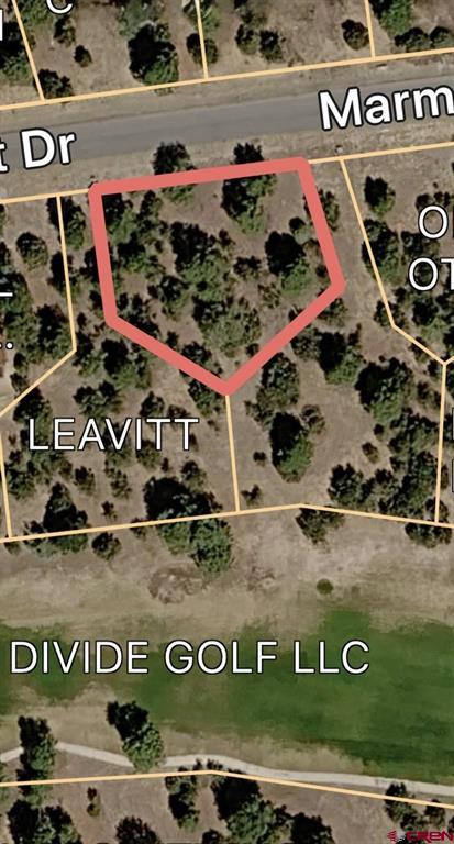 1711 Marmot Drive Ridgway CO 81432