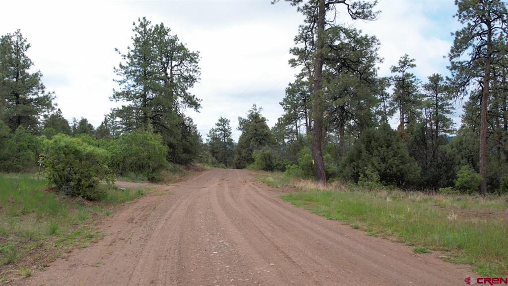 1460 Doc Adams Road Pagosa Springs CO 81147