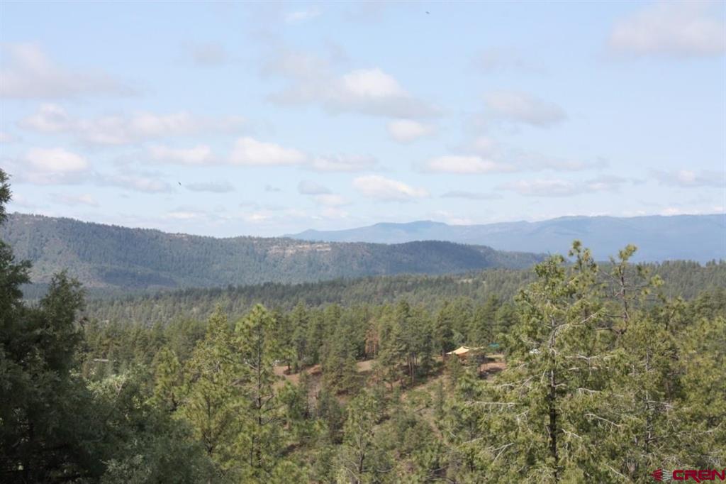 1460 Doc Adams Road Pagosa Springs CO 81147