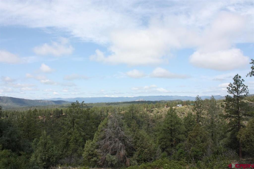 1460 Doc Adams Road Pagosa Springs CO 81147