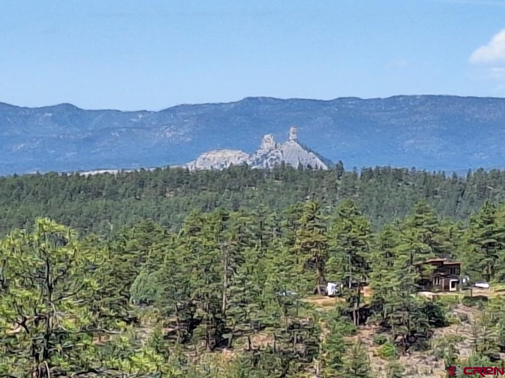 1460 Doc Adams Road Pagosa Springs CO 81147