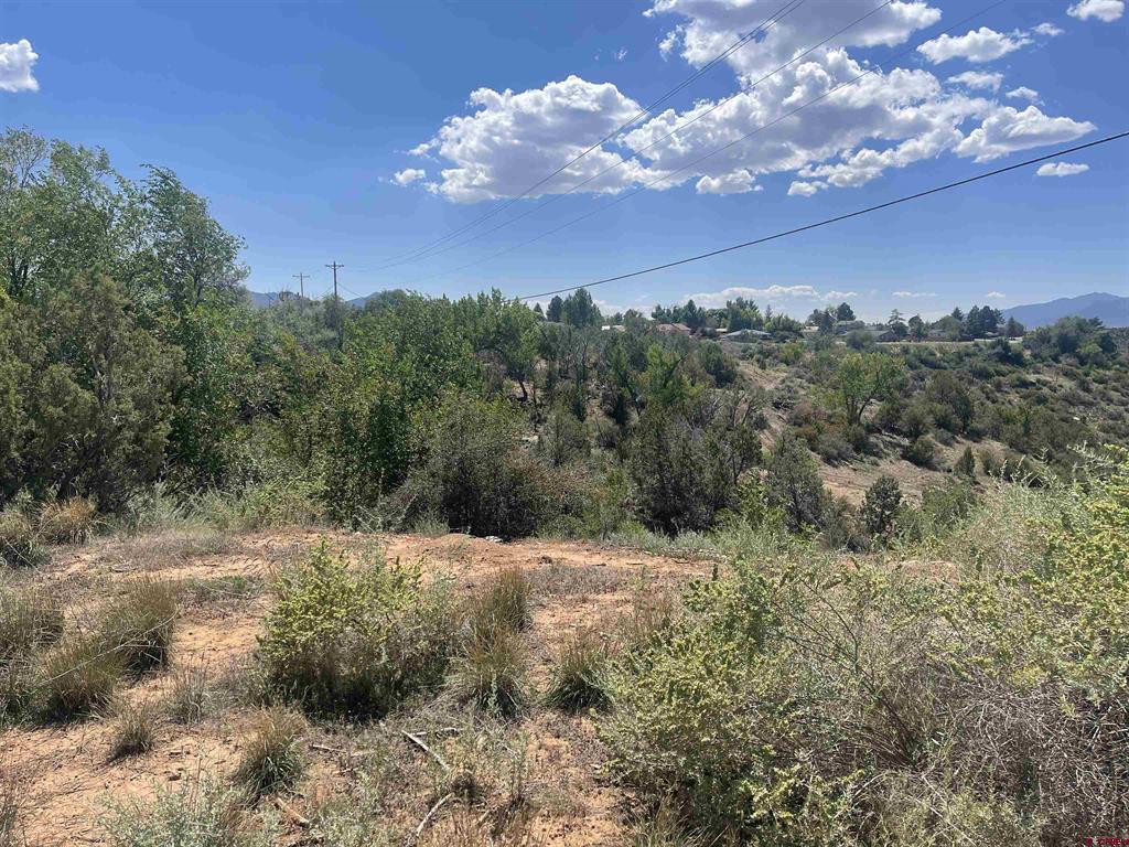 818 Stratton Drive Cortez CO 81321