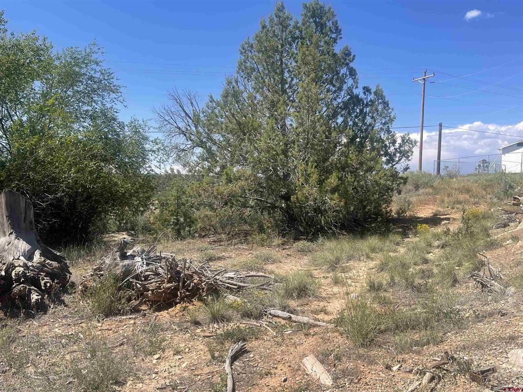 818 Stratton Drive Cortez CO 81321