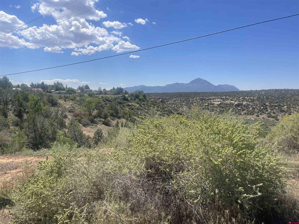 818 Stratton Drive Cortez CO 81321