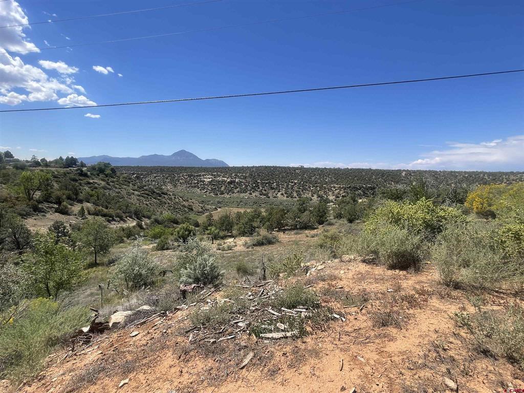 818 Stratton Drive Cortez CO 81321
