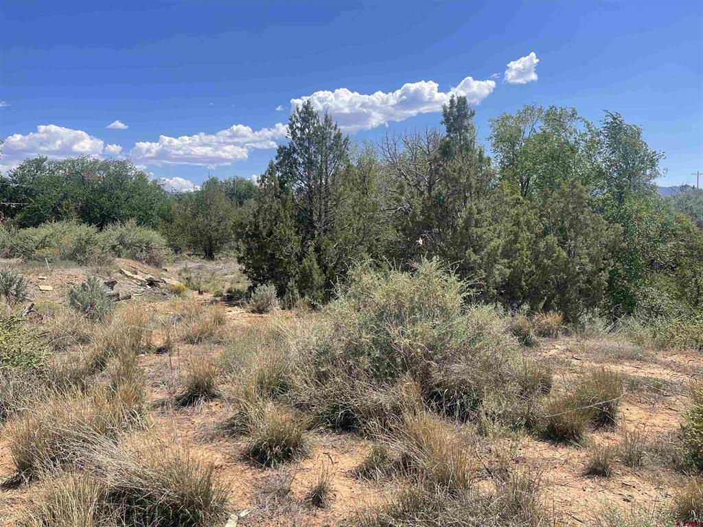 818 Stratton Drive Cortez CO 81321