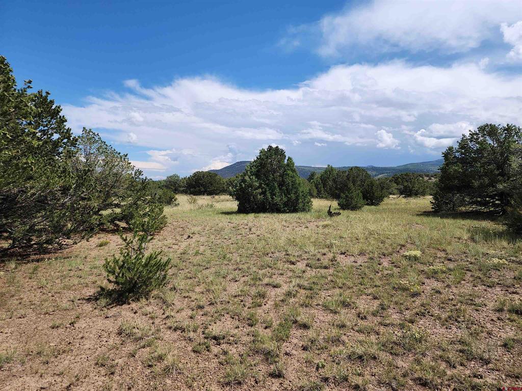 0 Loveland Road South Fork CO 81154