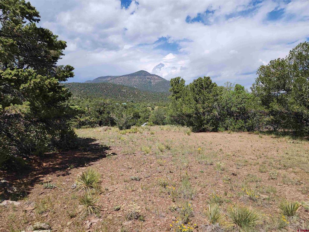 0 Loveland Road South Fork CO 81154
