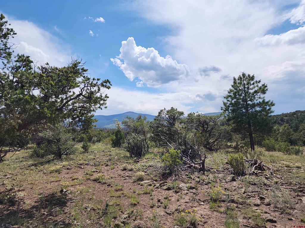 0 Loveland Road South Fork CO 81154