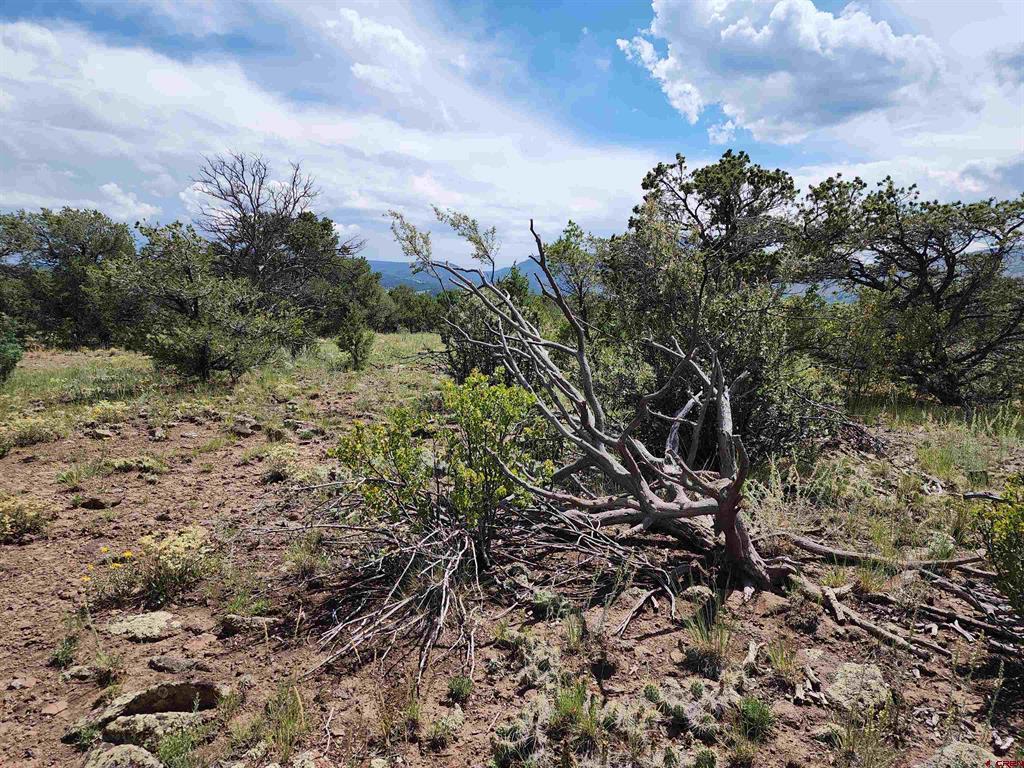 0 Loveland Road South Fork CO 81154