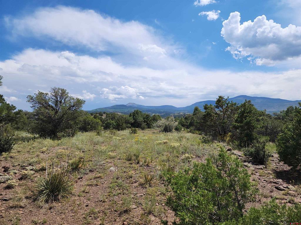 0 Loveland Road South Fork CO 81154