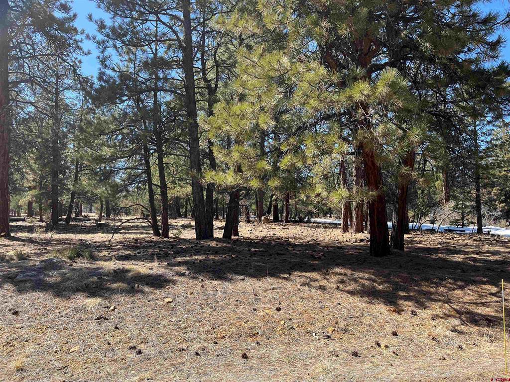 Tbd Badger Trail South Ridgway CO 81432
