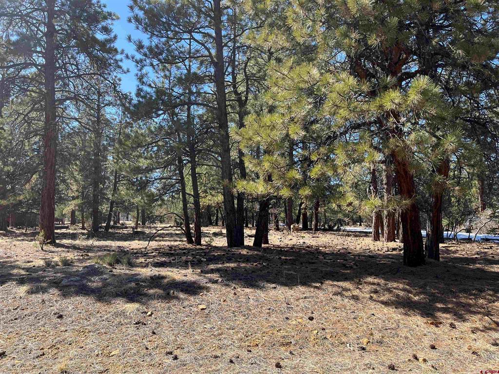 Tbd Badger Trail South Ridgway CO 81432