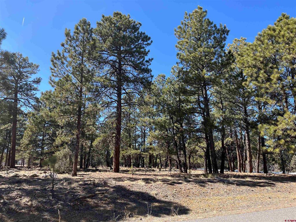 Tbd Badger Trail South Ridgway CO 81432