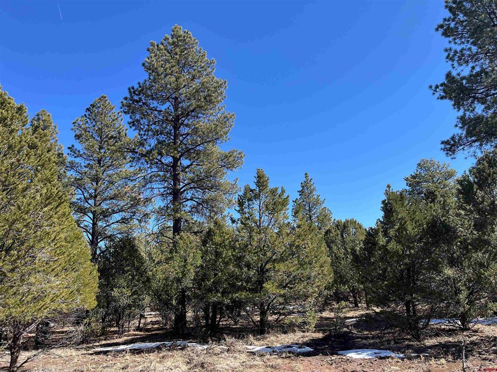 Tbd Badger Trail South Ridgway CO 81432