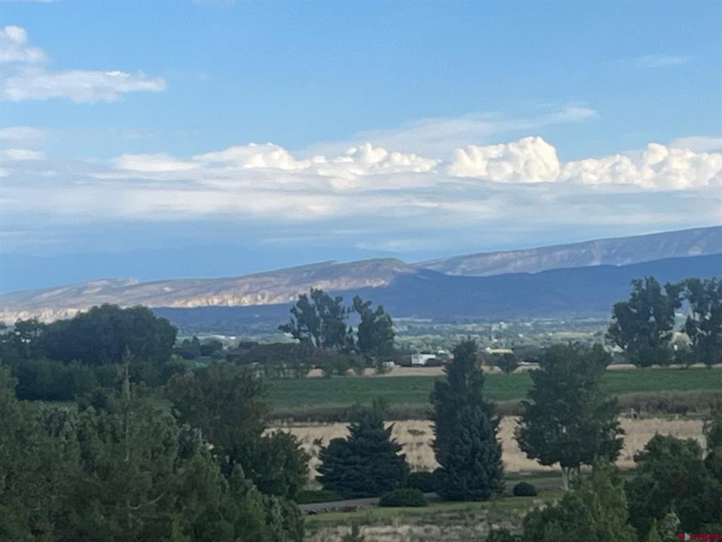 Lot 3 Tin Cup 6300 Road Montrose CO 81403