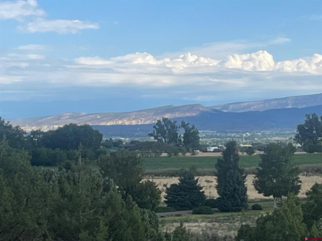 Lot 3 Tin Cup 6300 Road Montrose CO 81403