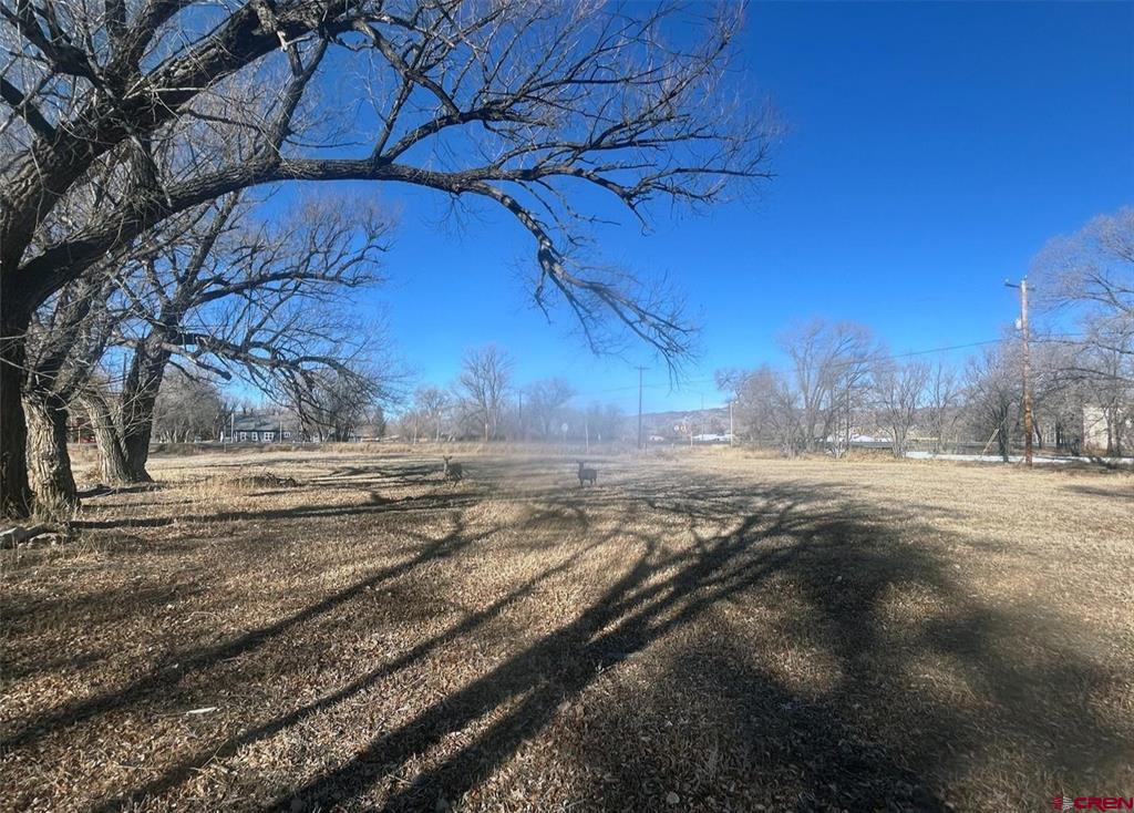 Tbd Highway 285 Saguache CO 81149