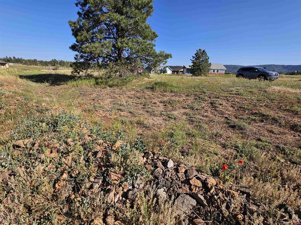 33 Paradise Drive Pagosa Springs CO 81147